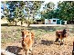 50 Russell Lane, Oakdale NSW 2570