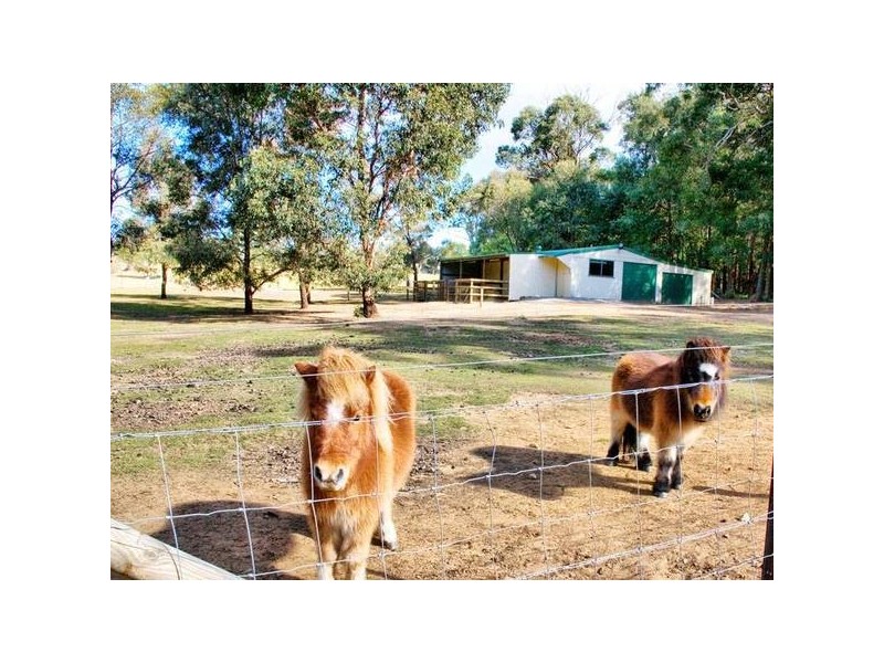 50 Russell Lane, Oakdale NSW 2570