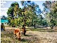 50 Russell Lane, Oakdale NSW 2570