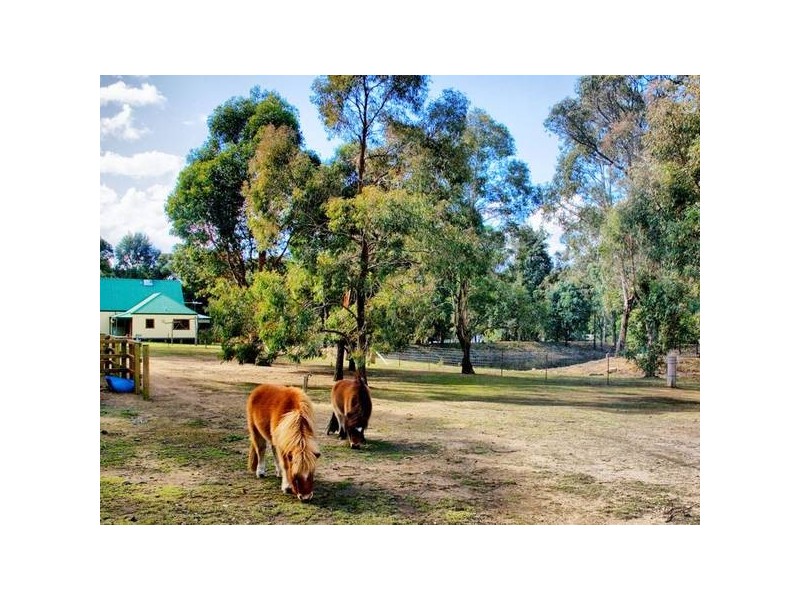 50 Russell Lane, Oakdale NSW 2570