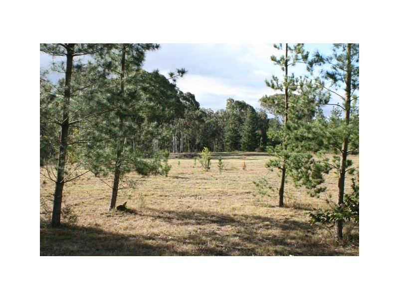 25 Sandy Lane, Thirlmere NSW 2572