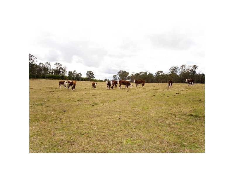 109 Wilton Road, Wilton NSW 2571