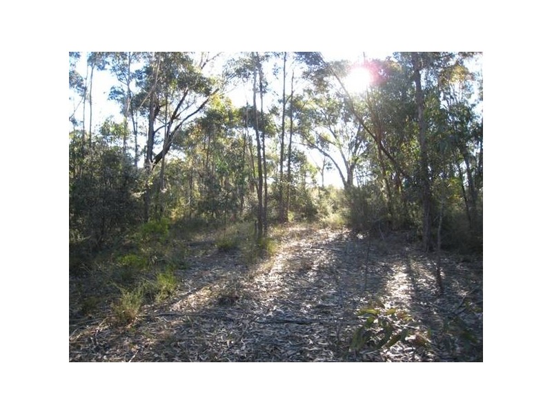 1D Orange Road, Buxton NSW 2571