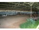 95 Burns Road, Thirlmere NSW 2572