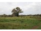 30 Lyrebird Road, Bargo NSW 2574