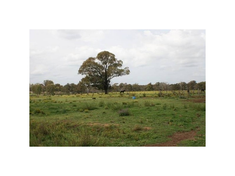 30 Lyrebird Road, Bargo NSW 2574