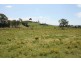30 Lyrebird Road, Bargo NSW 2574