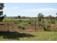 30 Lyrebird Road, Bargo NSW 2574