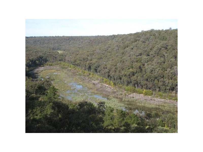 295 Bonds Road, Thirlmere NSW 2572