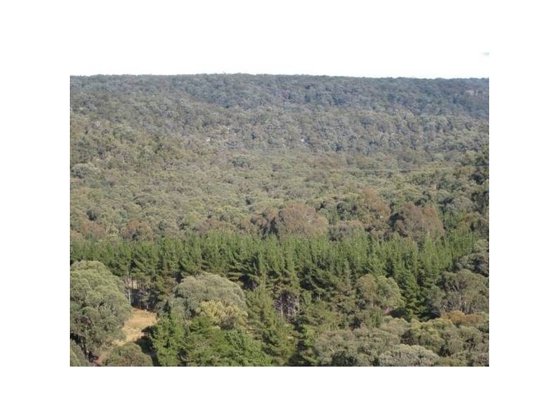 295 Bonds Road, Thirlmere NSW 2572