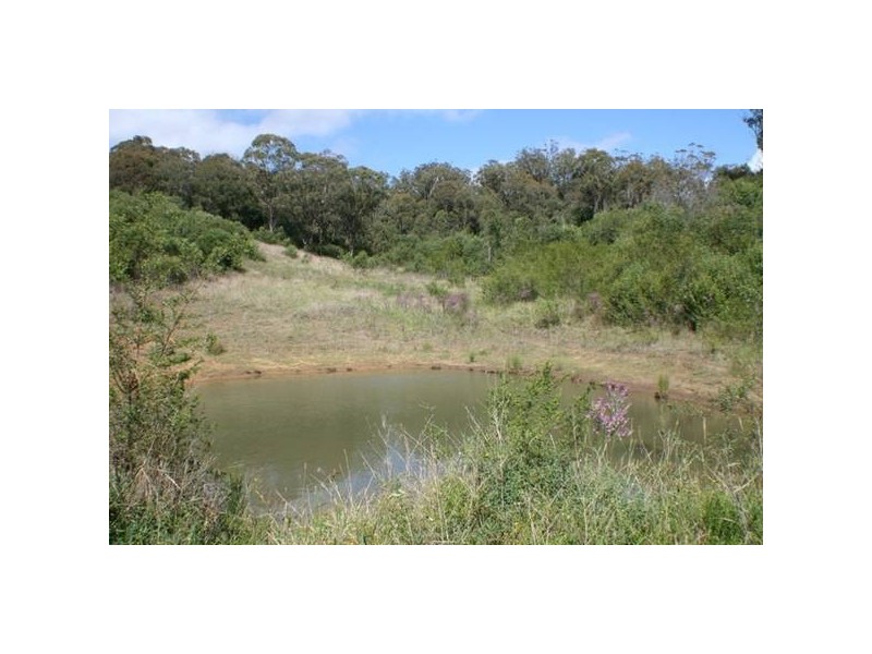 34 Wrightson Way, Douglas Park NSW 2569