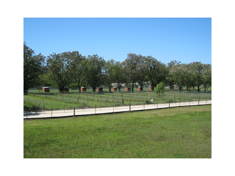 325 Oaks Road, Thirlmere NSW 2572