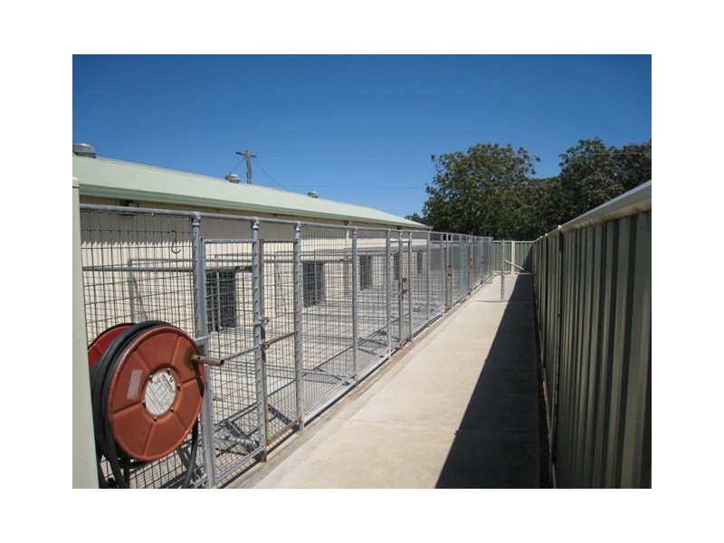 325 Oaks Road, Thirlmere NSW 2572