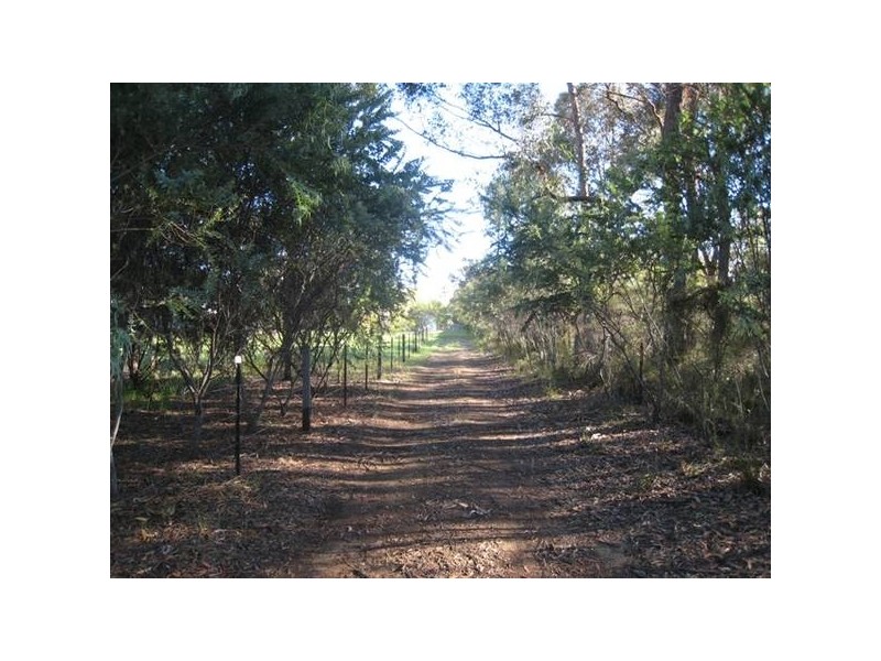 10 Arden Road, Buxton NSW 2571