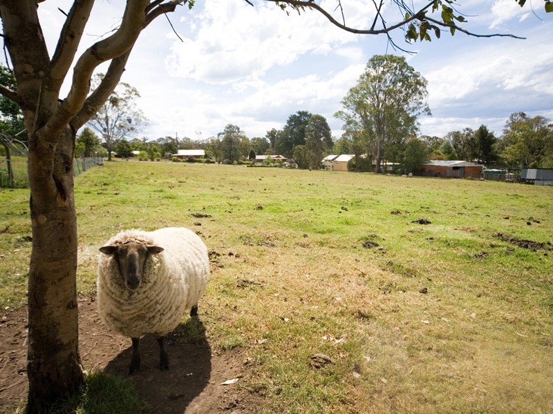 46 Darley Street, Thirlmere NSW 2572