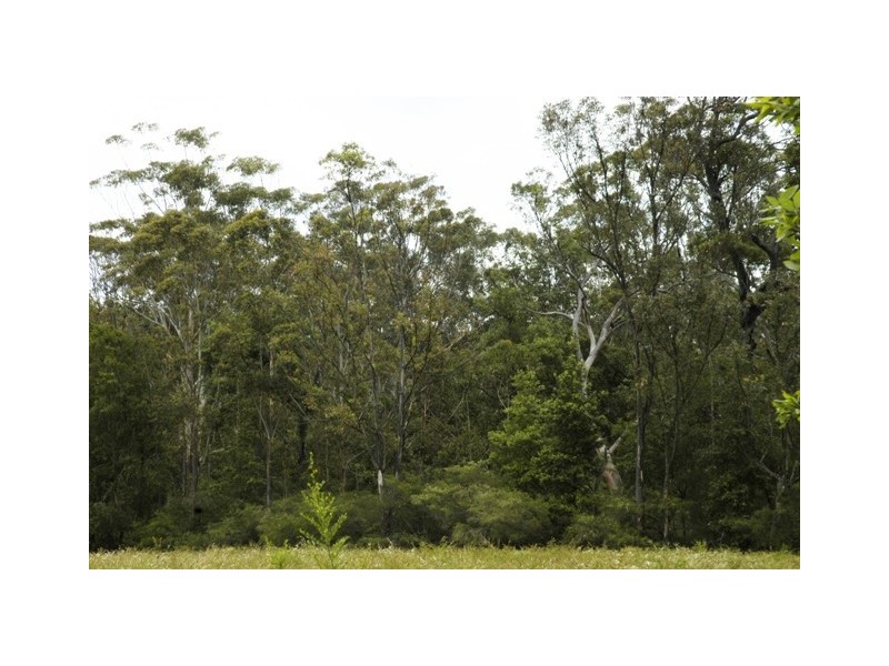 125 News Road, Werombi NSW 2570