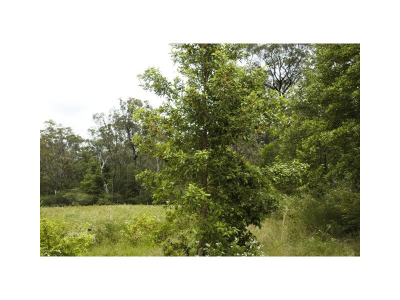 125 News Road, Werombi NSW 2570