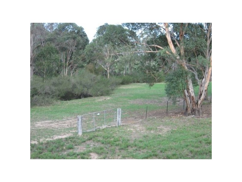 Lot 200 Sugarloaf Creek Road, Pheasants Nest NSW 2574