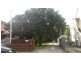 7/112 Bland Street, Ashfield NSW 2131