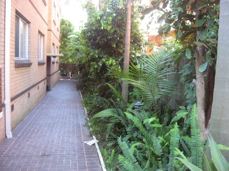 1/122 Bland Street, Ashfield NSW 2131