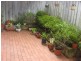 4/5 Orpington Street, Ashfield NSW 2131