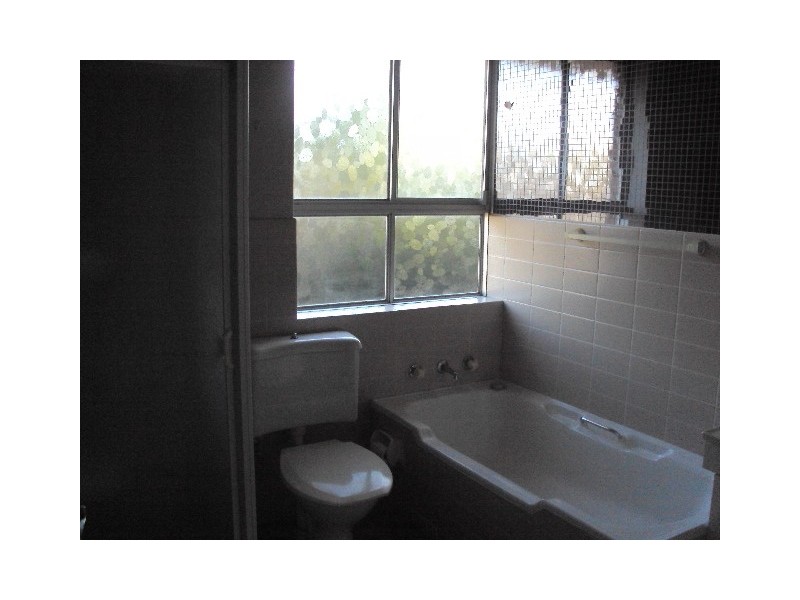 39/5 Benalla Ave, Ashfield NSW 2131