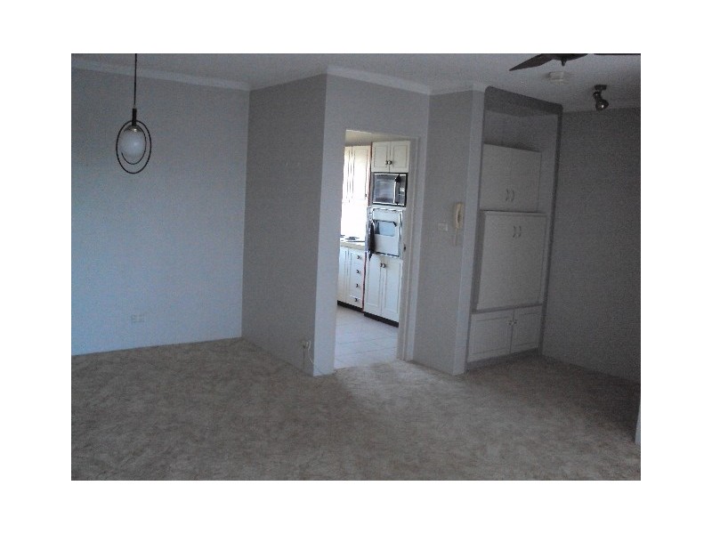 39/5 Benalla Ave, Ashfield NSW 2131