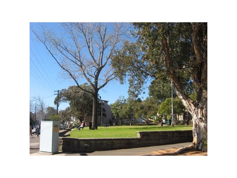 Wilson St, Darlington NSW 2008