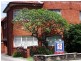 1/42a Elizabeth Street, Ashfield NSW 2131