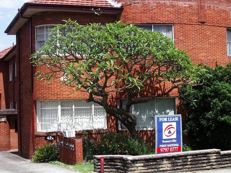 1/42a Elizabeth Street, Ashfield NSW 2131