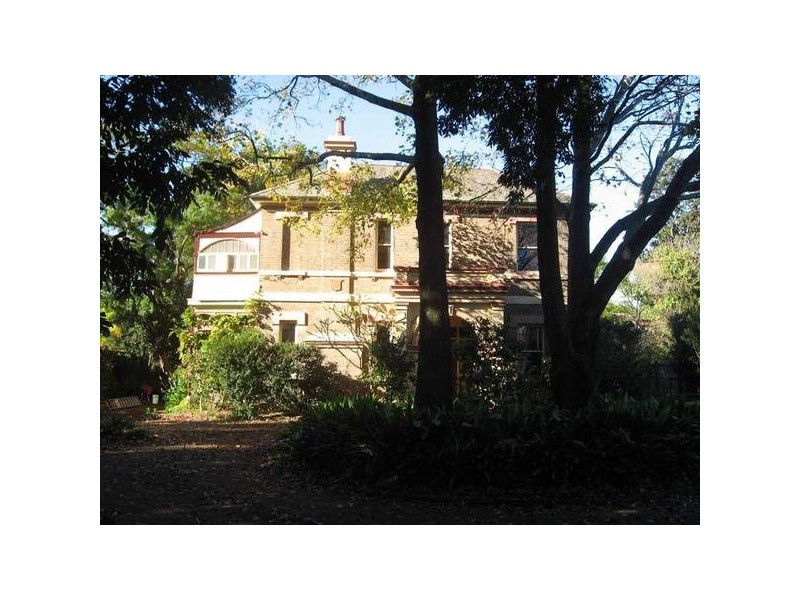 79 Bland Street, Ashfield NSW 2131