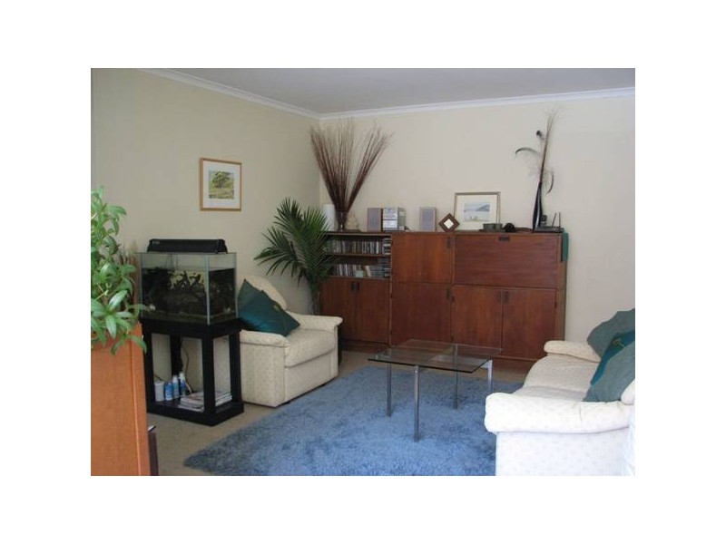 3/185 Frederick Street, Ashfield NSW 2131