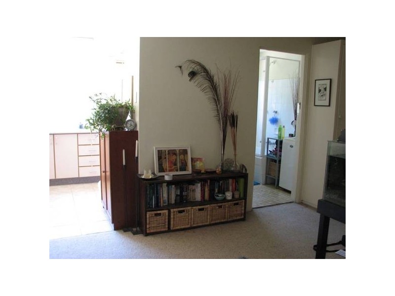 3/185 Frederick Street, Ashfield NSW 2131
