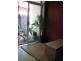 3/185 Frederick Street, Ashfield NSW 2131