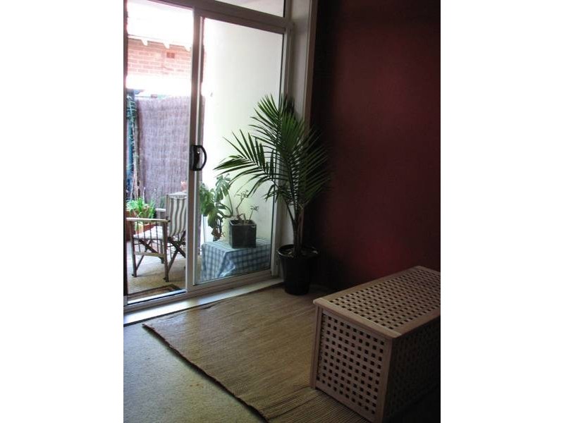 3/185 Frederick Street, Ashfield NSW 2131