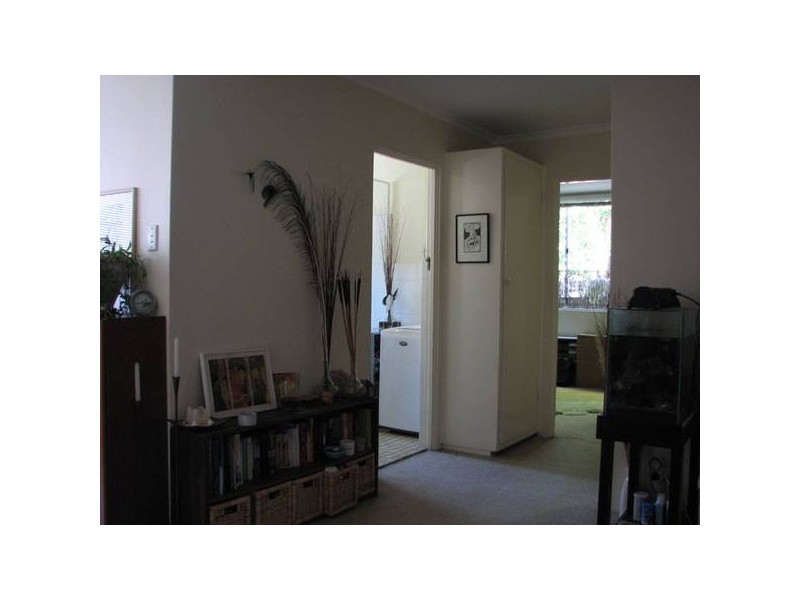 3/185 Frederick Street, Ashfield NSW 2131