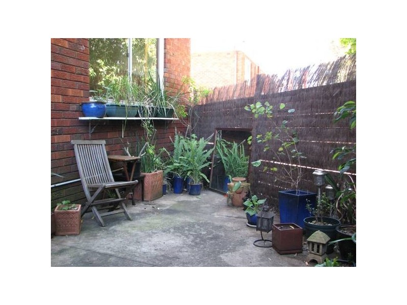 3/185 Frederick Street, Ashfield NSW 2131