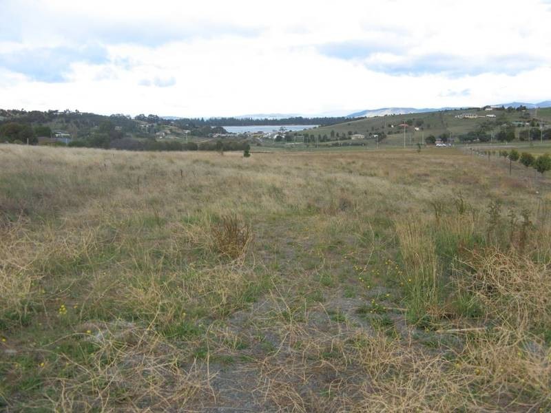 10 Moorpark Court, Forcett TAS 7173