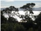 20 Rotuli Street, Dodges Ferry TAS 7173