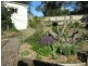 20 Rotuli Street, Dodges Ferry TAS 7173