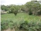 14 Bracken Court, Dodges Ferry TAS 7173