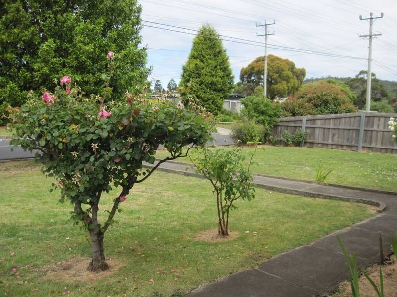142 Risdon Road, Lutana TAS 7009