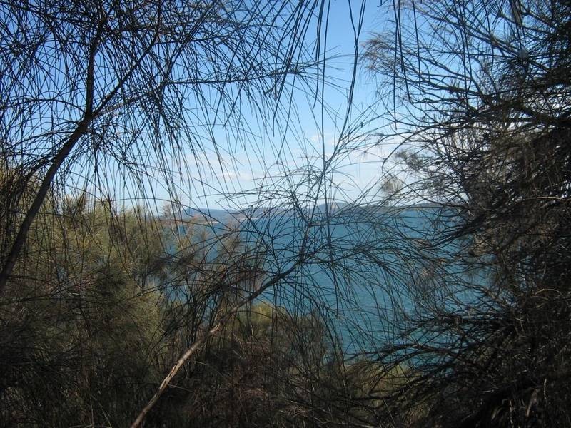9 Linden Road, Primrose Sands TAS 7173