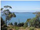 619 Shark Point Road, Penna TAS 7171