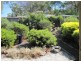 619 Shark Point Road, Penna TAS 7171