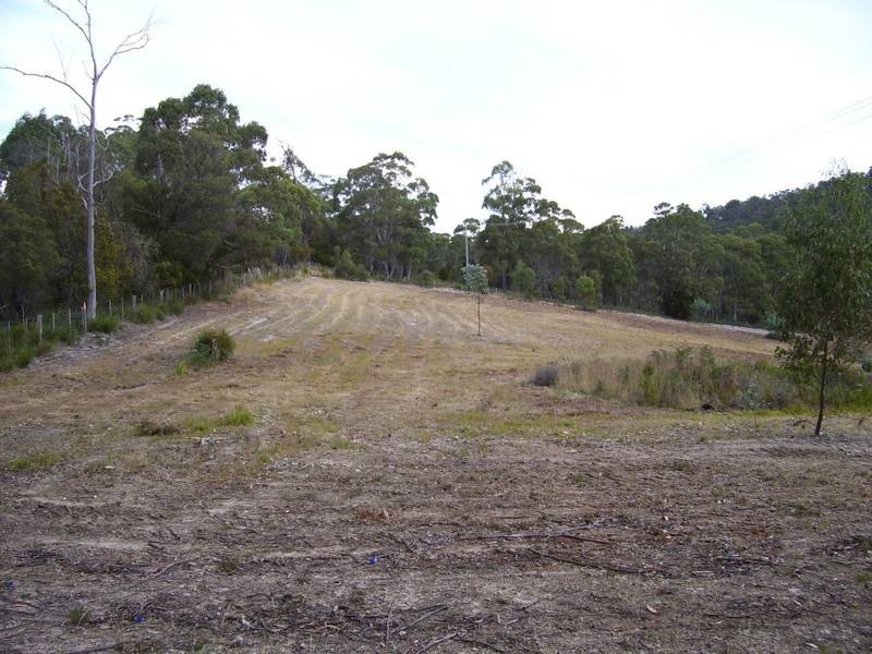 Lot 1, Sugarloaf Road, Forcett TAS 7173