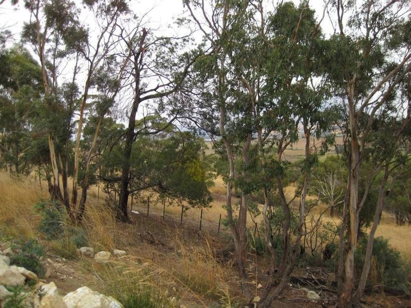 6 Walsh Lane, Sorell TAS 7172