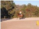 Lot 2, 2526 Arthur Highway, Copping TAS 7174