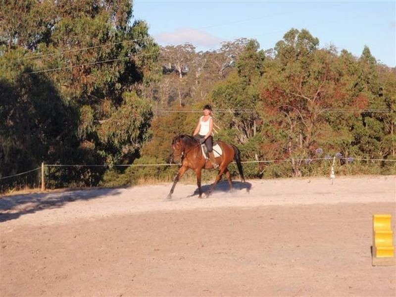 Lot 2, 2526 Arthur Highway, Copping TAS 7174