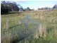 Lot 2, 2526 Arthur Highway, Copping TAS 7174